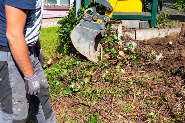 Hedge Removal Service in Napa