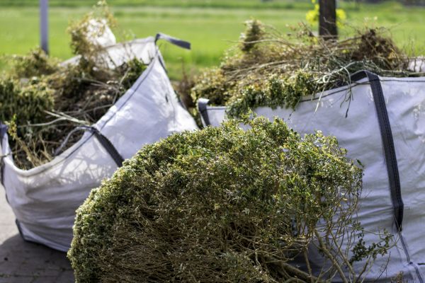 Shrubs Removal in Napa