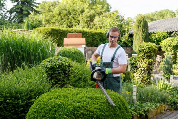 Shrubs Trimming in Napa