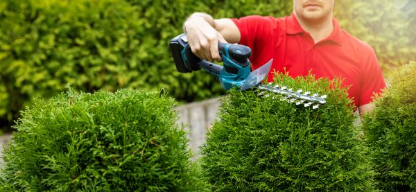Hedge Shaping Service in Napa