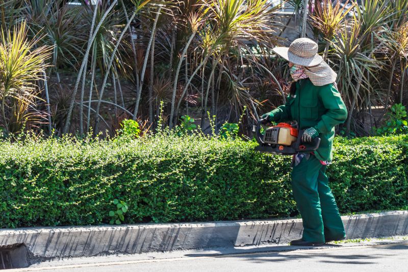 Trimming Near a Fence